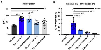 Rheological Impact of GBT1118 Cessation in a Sickle Mouse Model